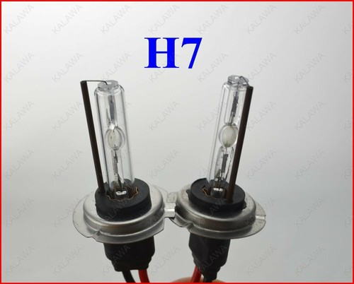 Lampade 35w base in ferro - h7,